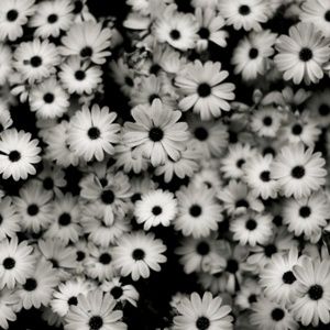 Meet your Posher, Ashlee